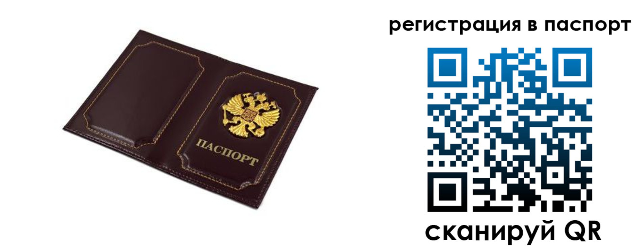 миграционный учет в Бабаево
